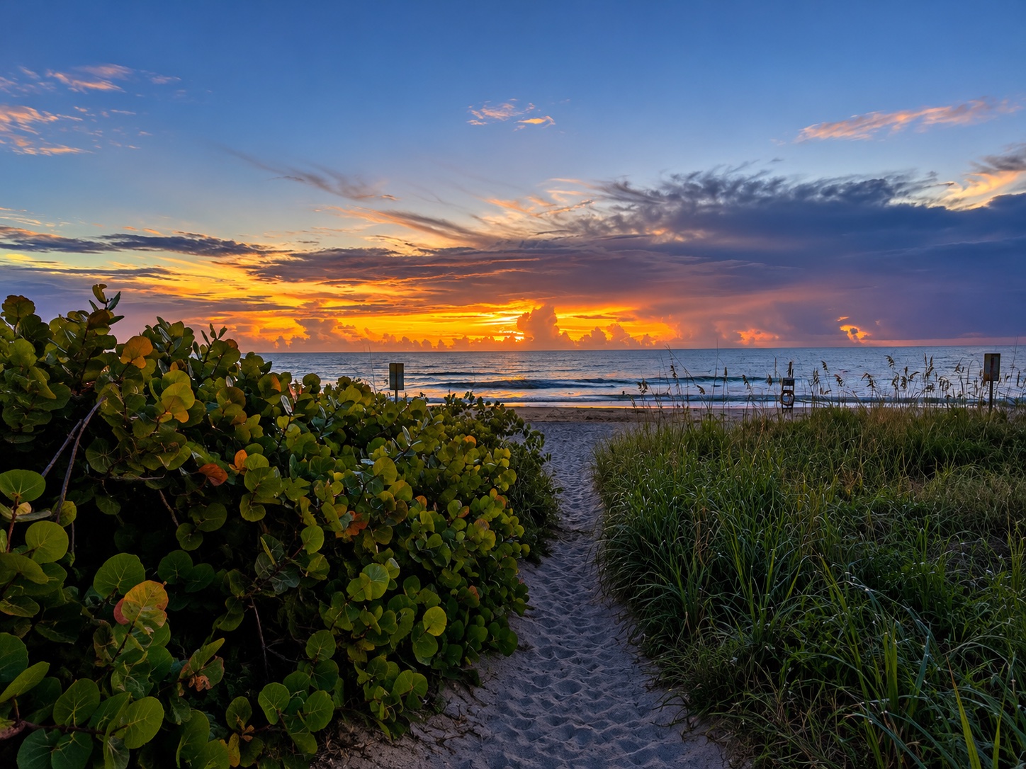 Sunrise over the Atlantic at the end of a dune path on the Space Coast
